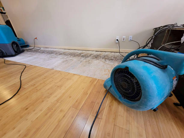 Professional Burst Pipe Water Damage technician working in Blue Ridge, AL